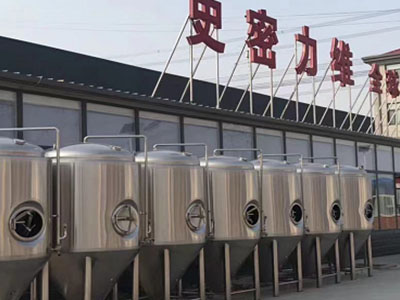 营口精酿啤酒设备厂—市场规模与跨界新需求